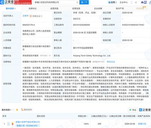 新疆火炬成立安全科技公司，“AI+安全”布局再下一城