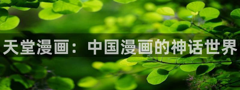 韩漫下载网站：天堂漫画：中国漫画的神话世界