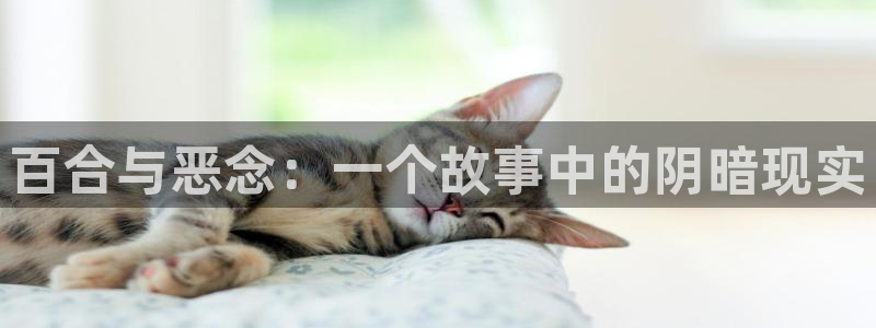 55漫画韩漫：百合与恶念：一个故事中的阴暗现实