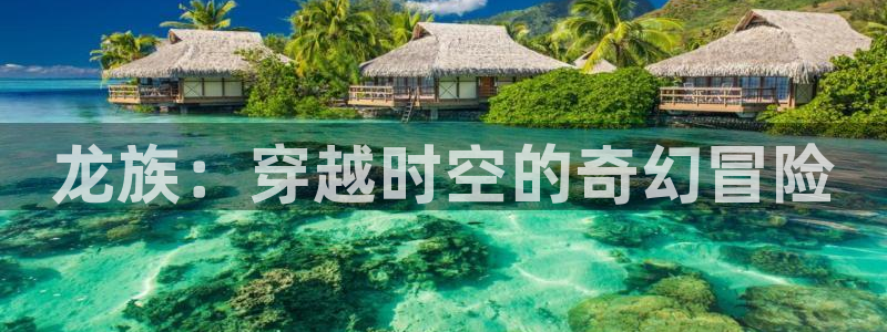 在线观看韩漫网站：龙族：穿越时空的奇幻冒险