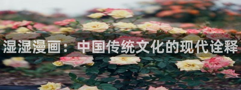 漫画韩漫免费看：湿湿漫画：中国传统文化的现代诠释