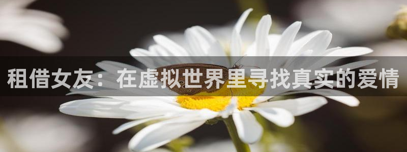 日韩漫画全彩：租借女友：在虚拟世界里寻找真实的爱情